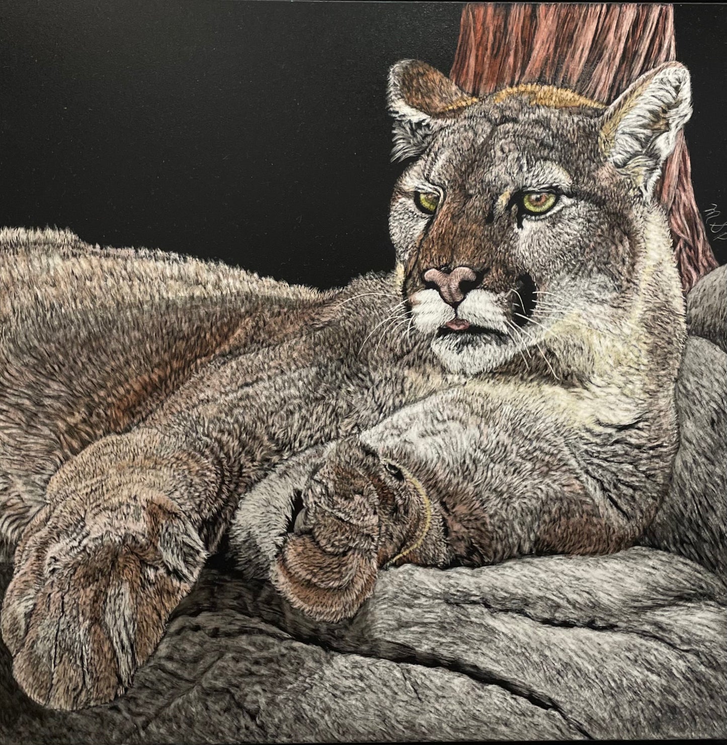 Just Hanging Out by Margaret Pardy