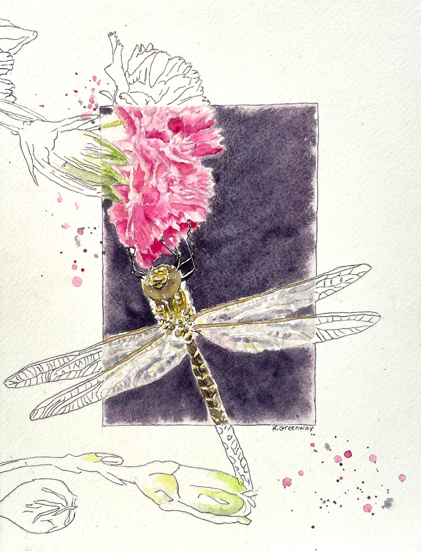 Dragon Fly Delight by Kate Greenway