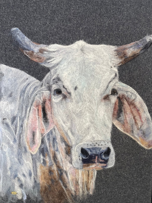 Brahman Cow by Megan Cleland
