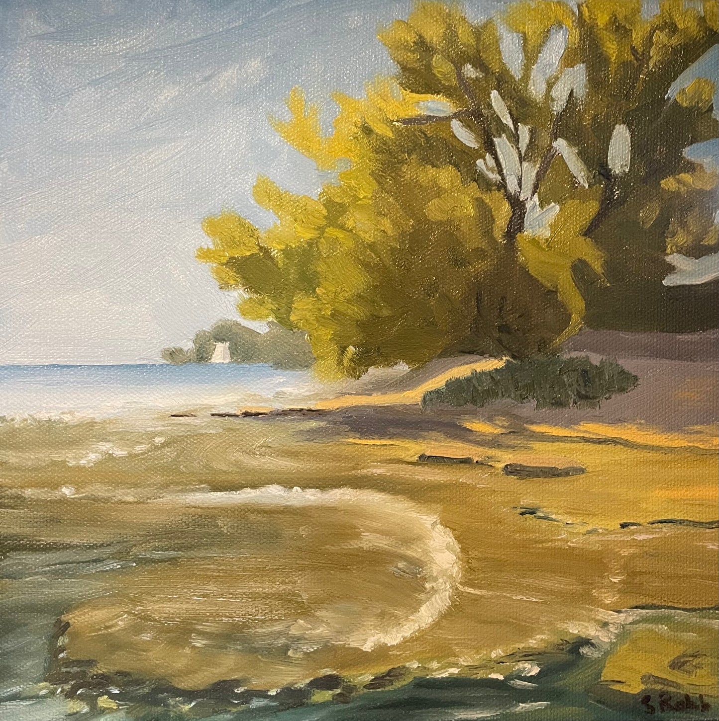 South Shore Flat Rocks by Stacey Robb