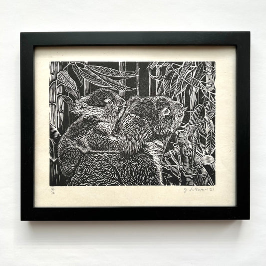 Koala Love by Jacquie Sullivan