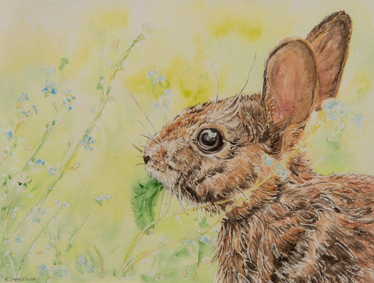 Forget Me Not Bunny by Kate Greenway
