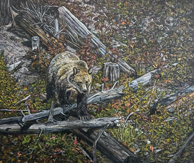 A Walk In The Woods by Lynden Cowan