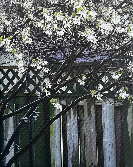 Service Berry Spring by EC Munson