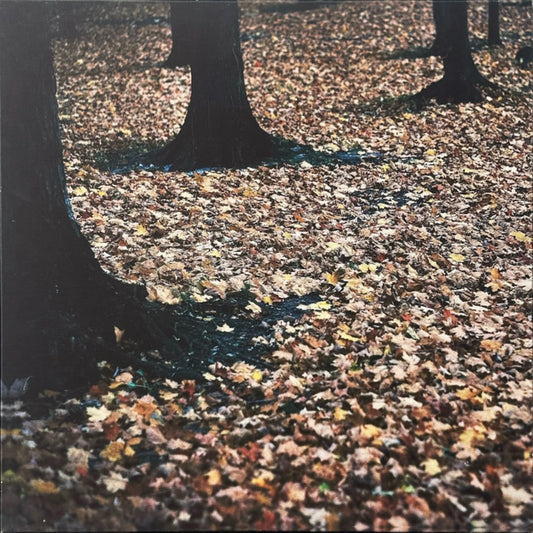 Rooted by EC Munson
