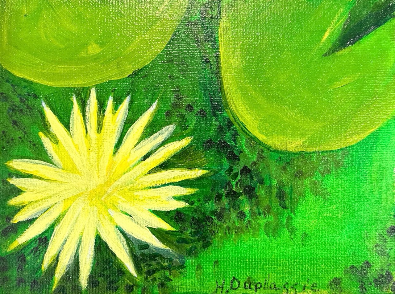 Yellow Waterlily by Helen Duplassie
