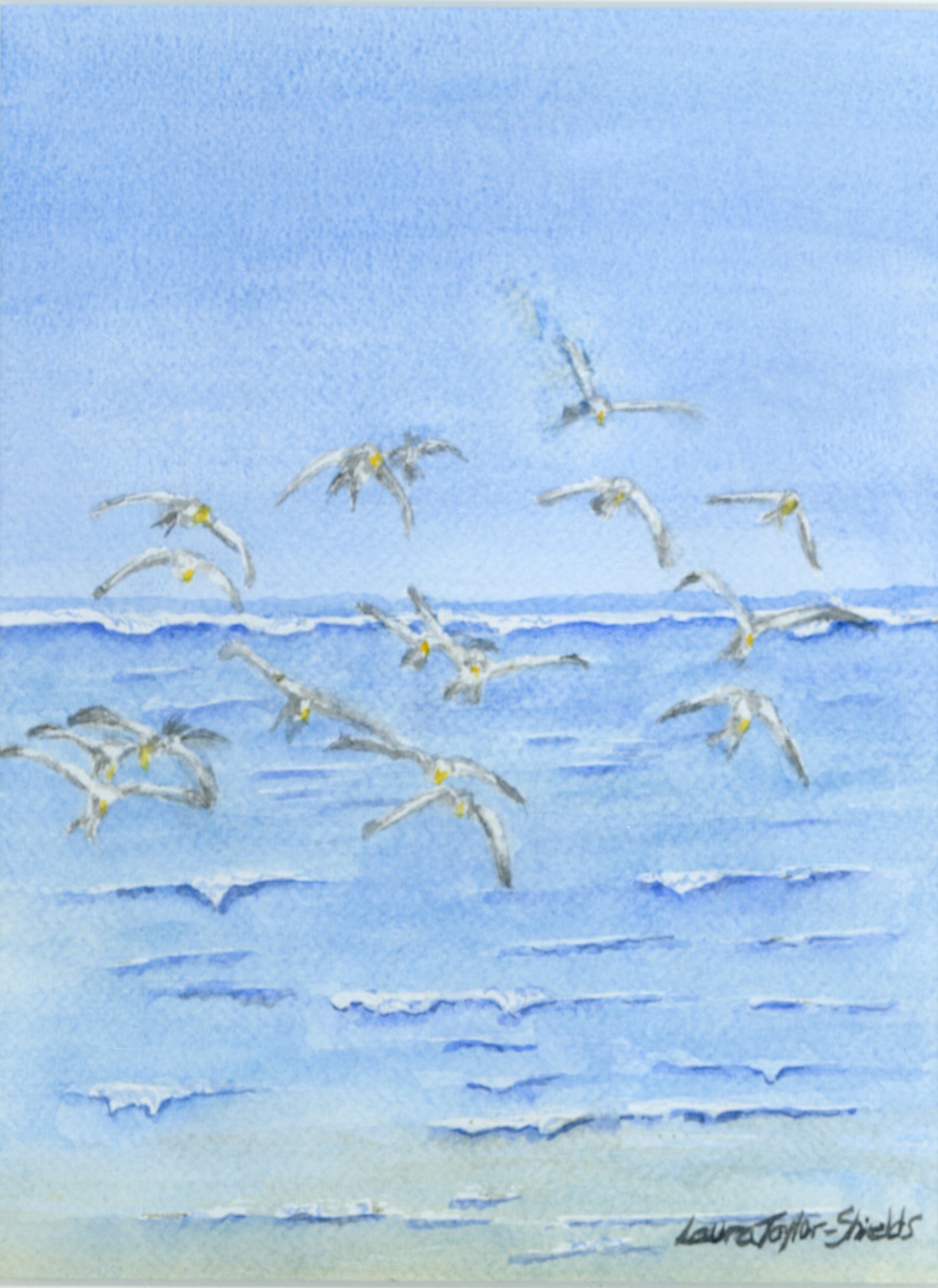 Shore Birds by Laura Taylor-Sheilds