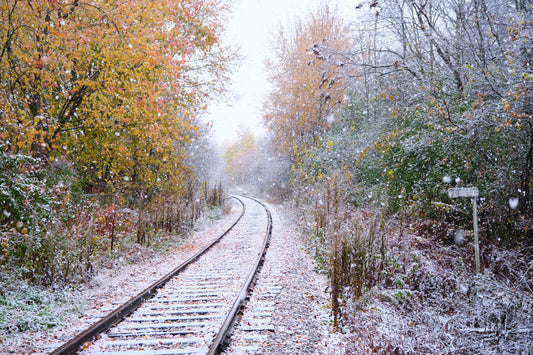 Autumn Snow by Stuart David