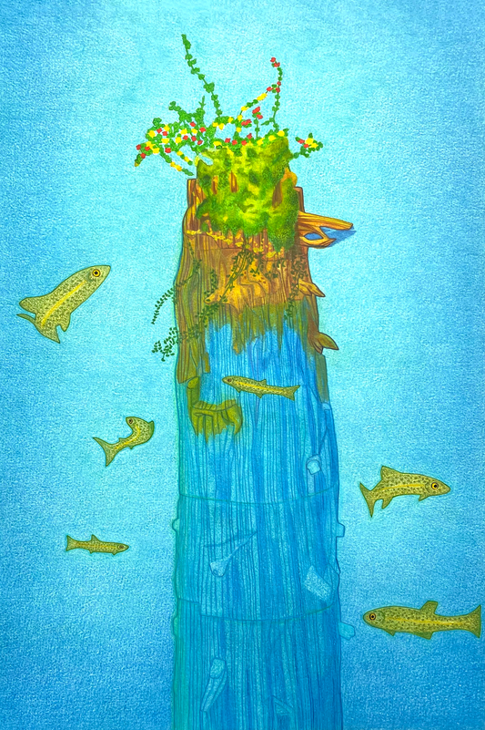 2nd place winner - Sunken Tree Swim-by by Kevin Harper