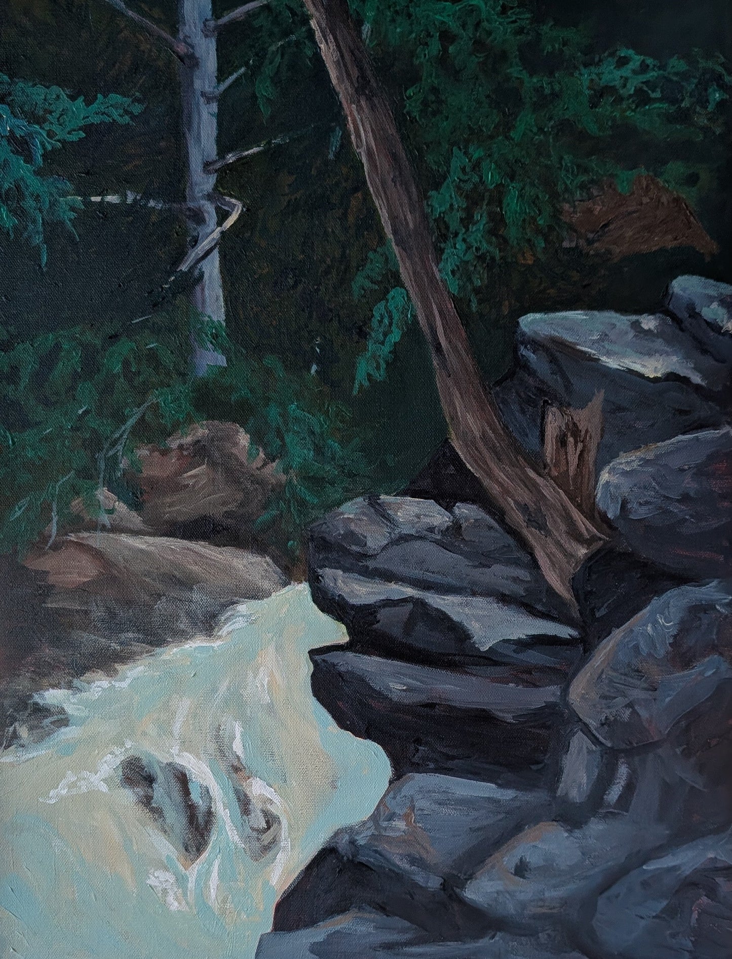 Hanging Over Rushing Water by Wendy Capp