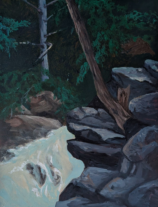 Hanging Over Rushing Water by Wendy Capp