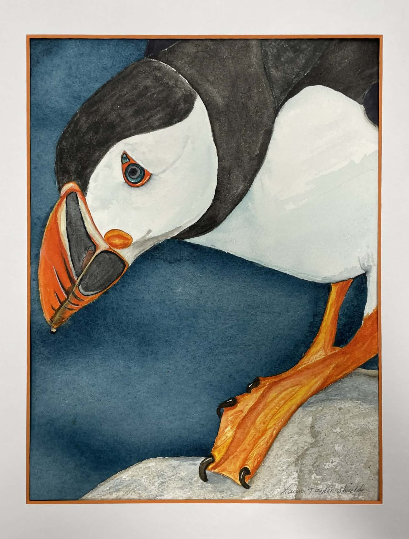 Puffin by Laura Taylor-Sheilds