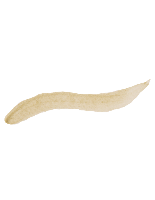 Stoneground - Antica Green Earth (Earth Colour - Half Pan)