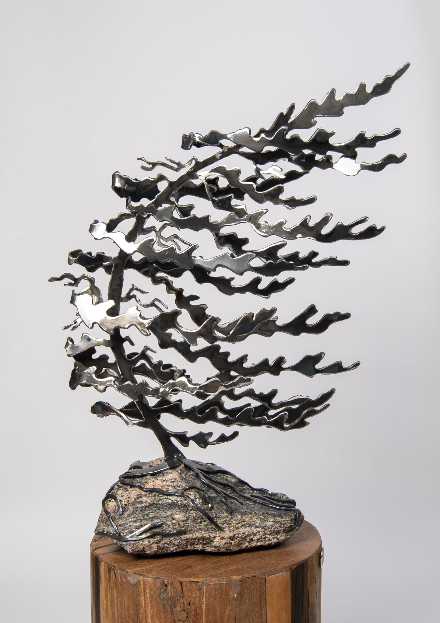 Large Tree on Rock by Daniella Boerhof