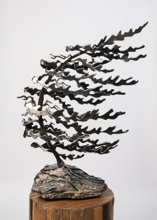 Grand arbre sur rocher par Daniella Boerhof