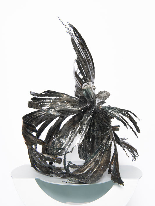 Life Aquatic by Daniella Boerhof