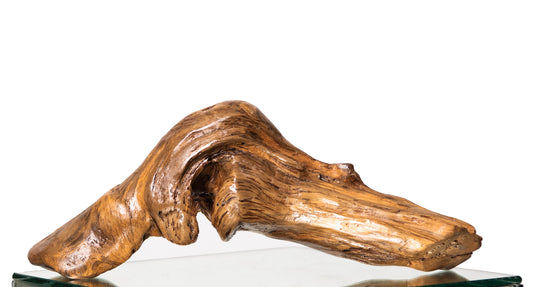 Lake Spirt by Carol MacNeil