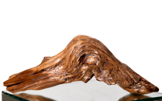 Lake Spirt by Carol MacNeil