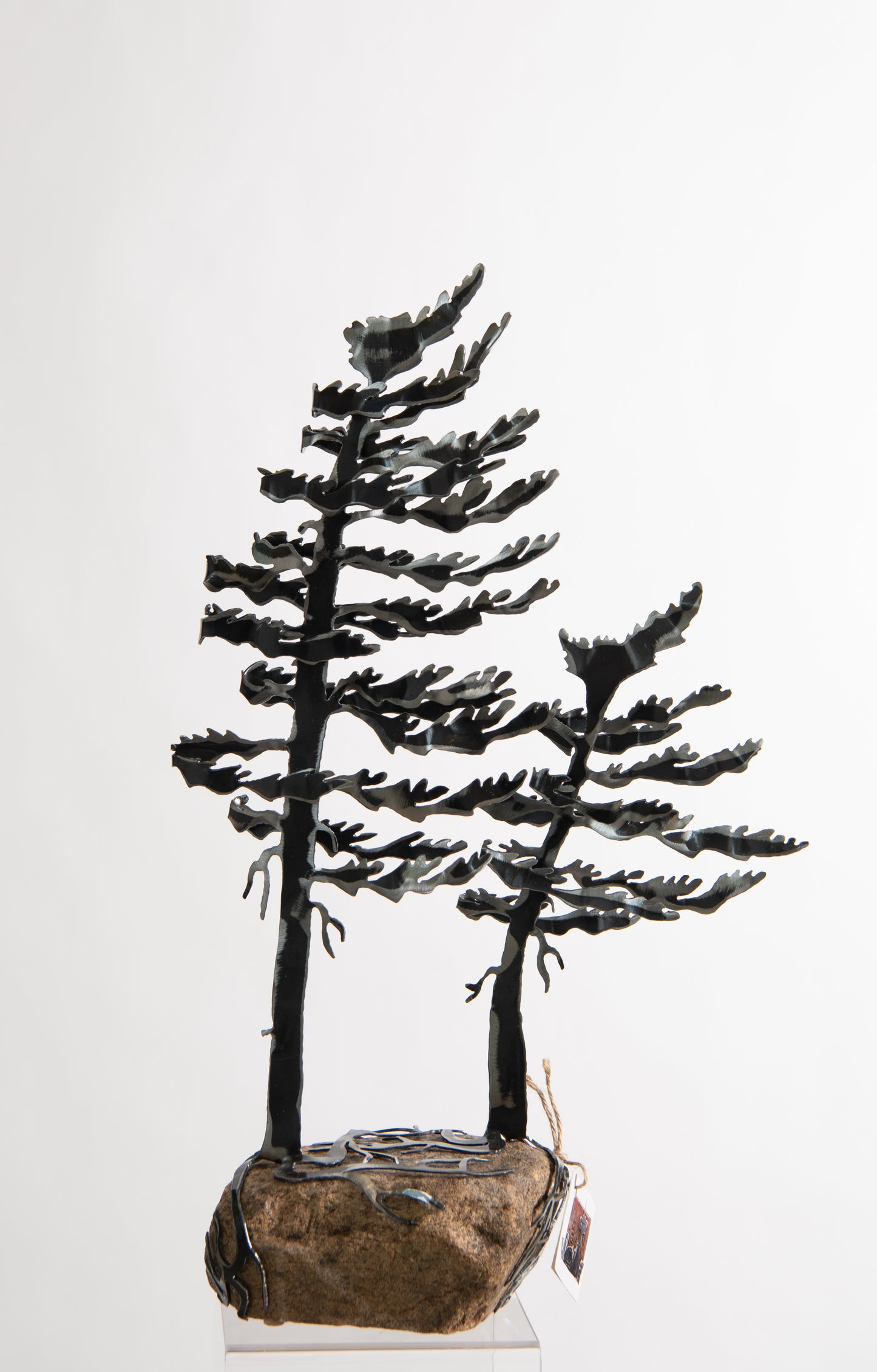 Double Windswept Tree by Daniella Boerhof