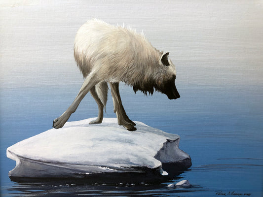 Stranded (Arctic Wolf) by Peter Moore