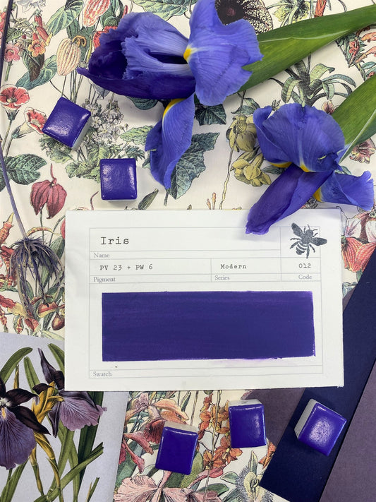 Stoneground Gouache - Iris