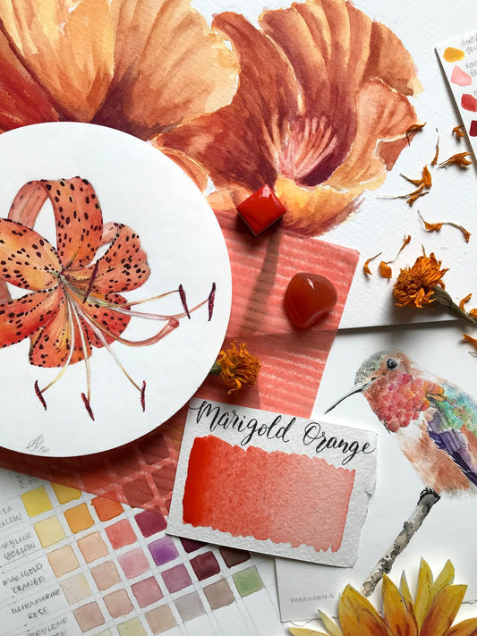 Stoneground - Marigold Orange (Synthetic - Half Pan)