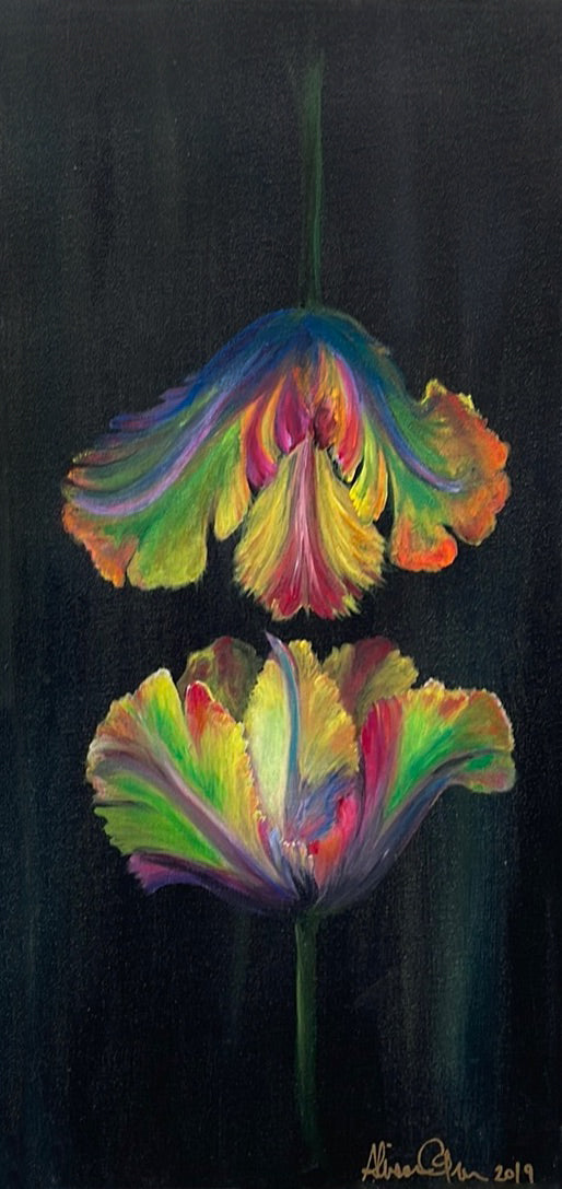 Parrot Tulips by Allison Grainger