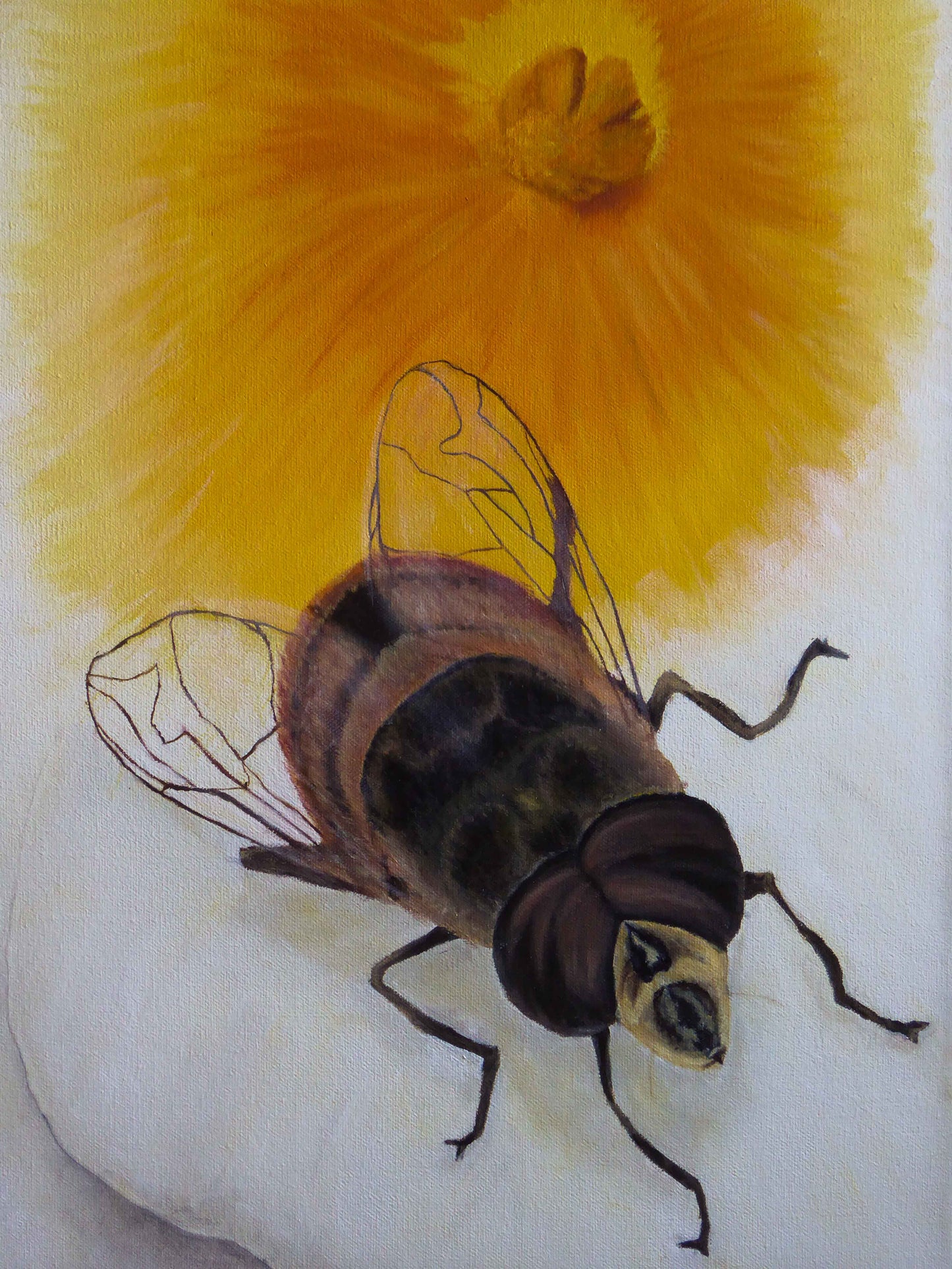 La abeja de Mandavilla de Nancy R. Chalut