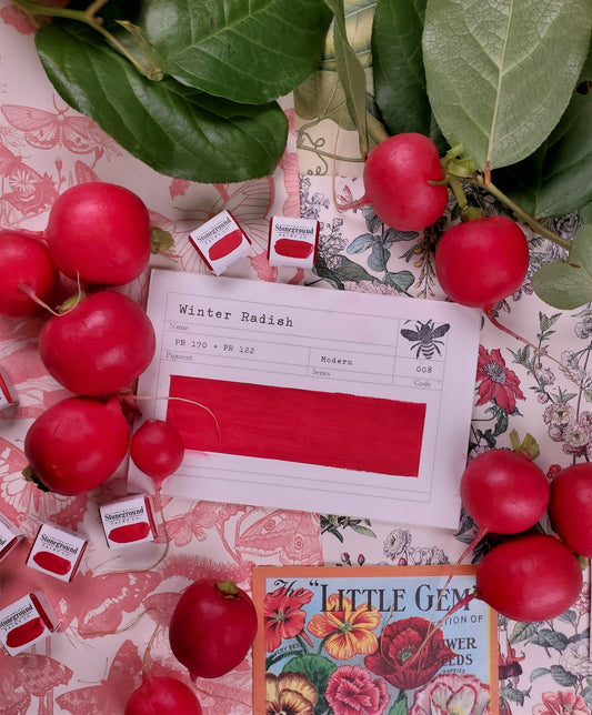 Stoneground Gouache -  Winter Radish