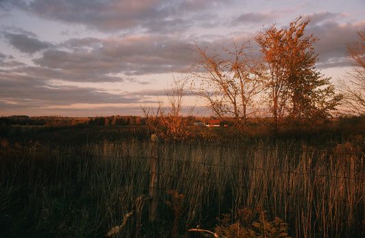 Autumn Fields by E.C. Munson