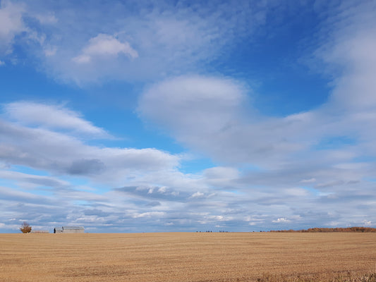 Big Skies Country par E.C. Munson