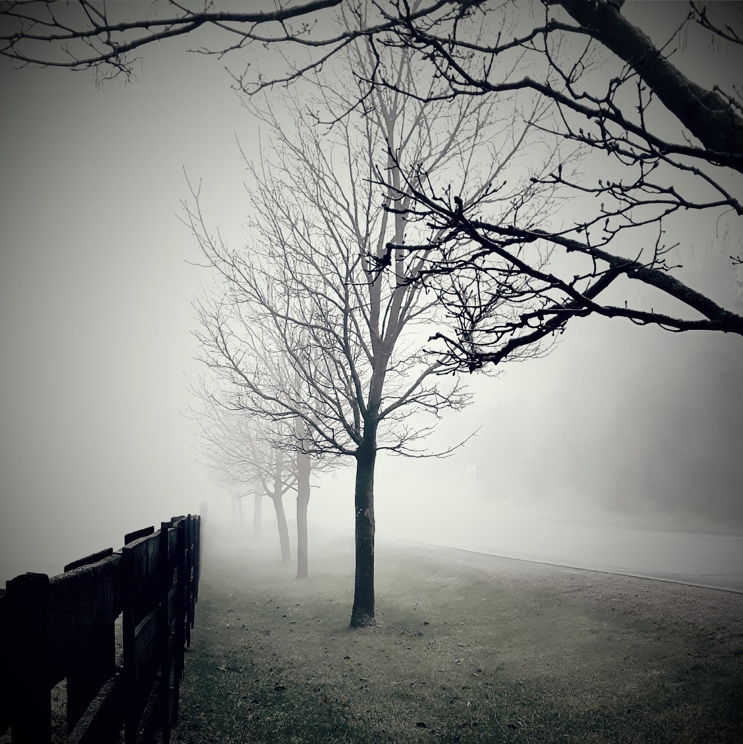 Foggy Portal by E.C. Munson