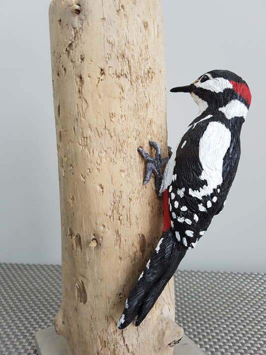 Woodpecker by Darlene Mann