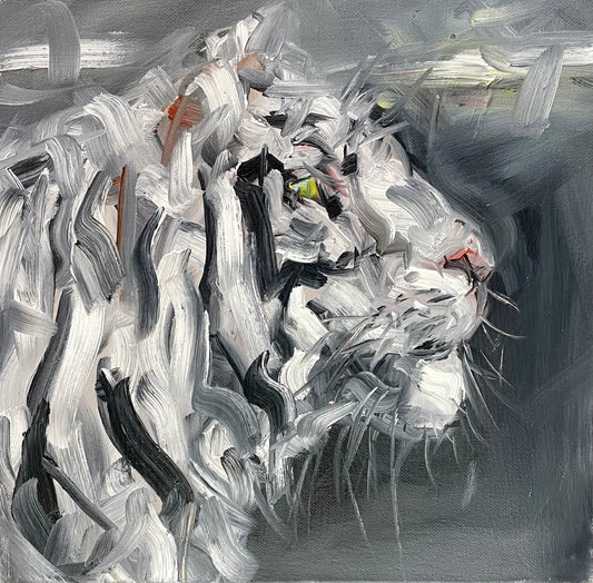 Tigre blanc de Moses Salihou