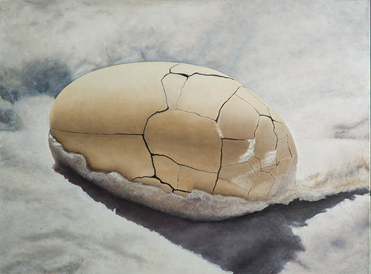 Chaos Egg by Nancy R. Chalut