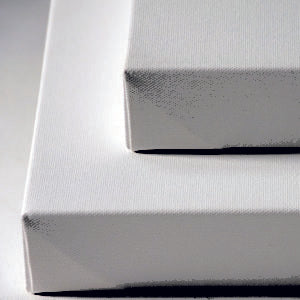 Gallery Artist Canvas